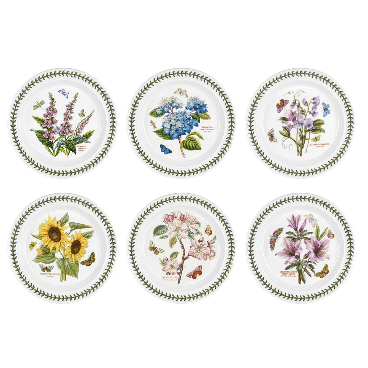 Botanic Garden Dinner Plates, Set of 6