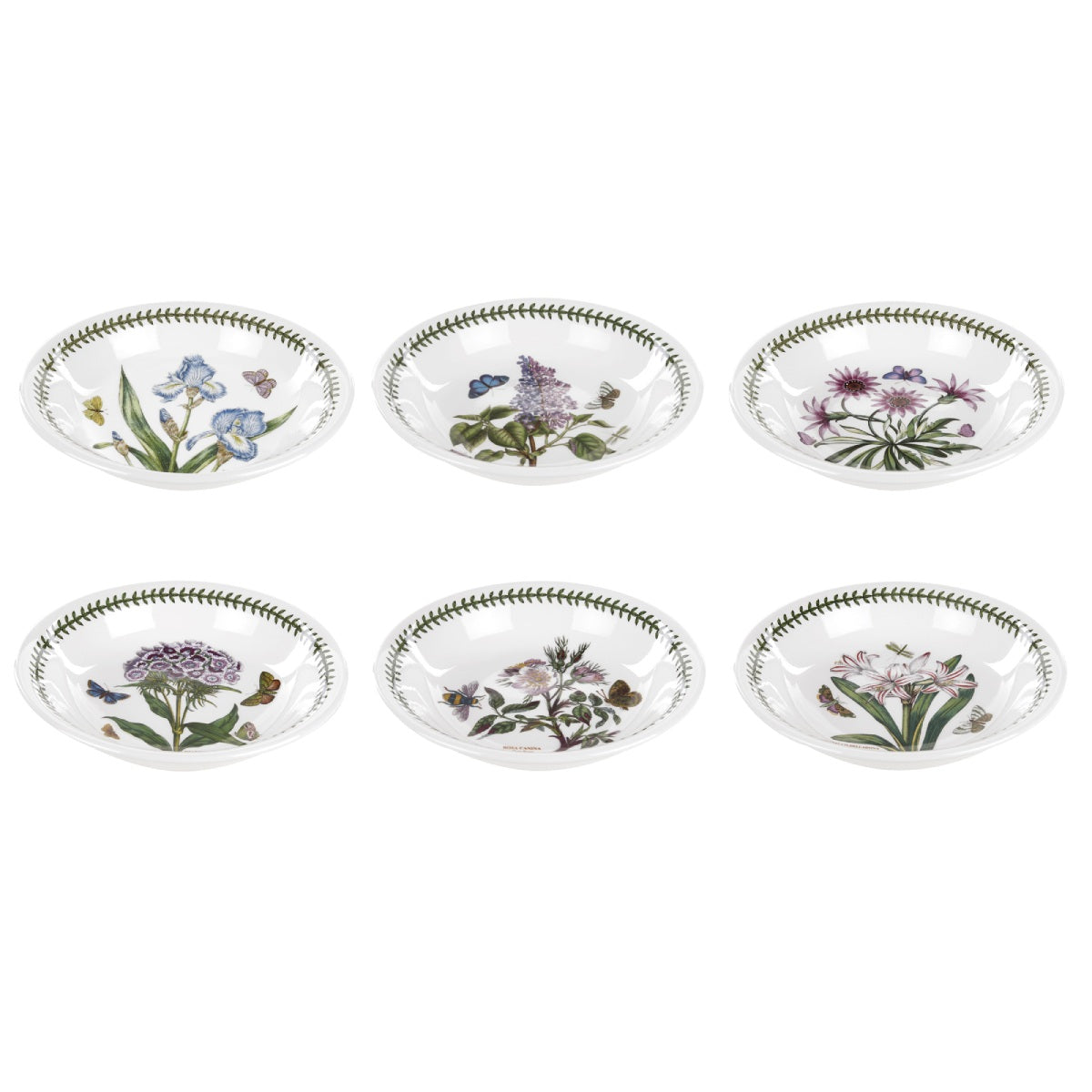Botanic Garden Pasta Bowls, Set of 6
