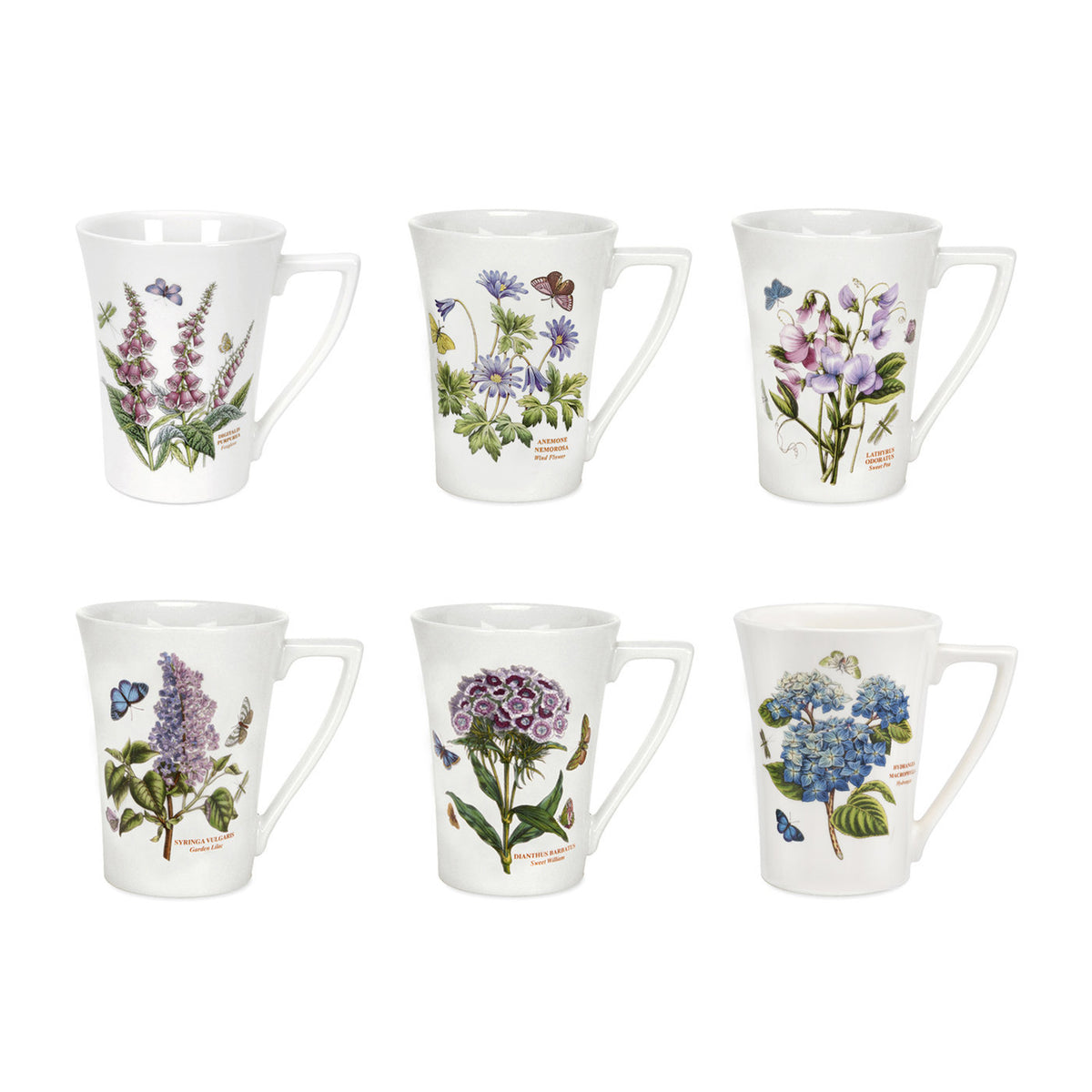 Botanic Garden Mandarin Mugs, Set of 6