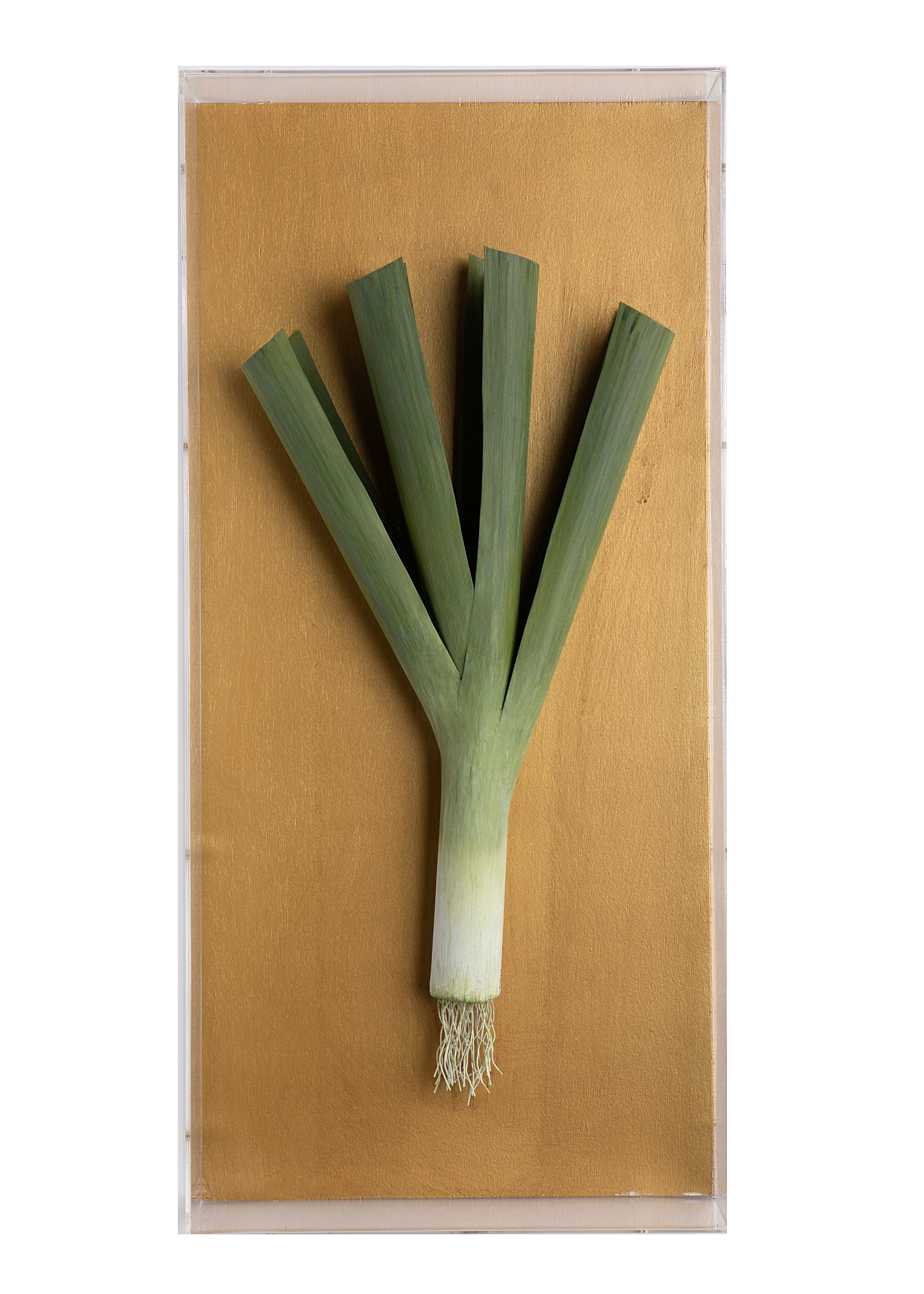 Large Vegetable Study Leek On Gilded Linen