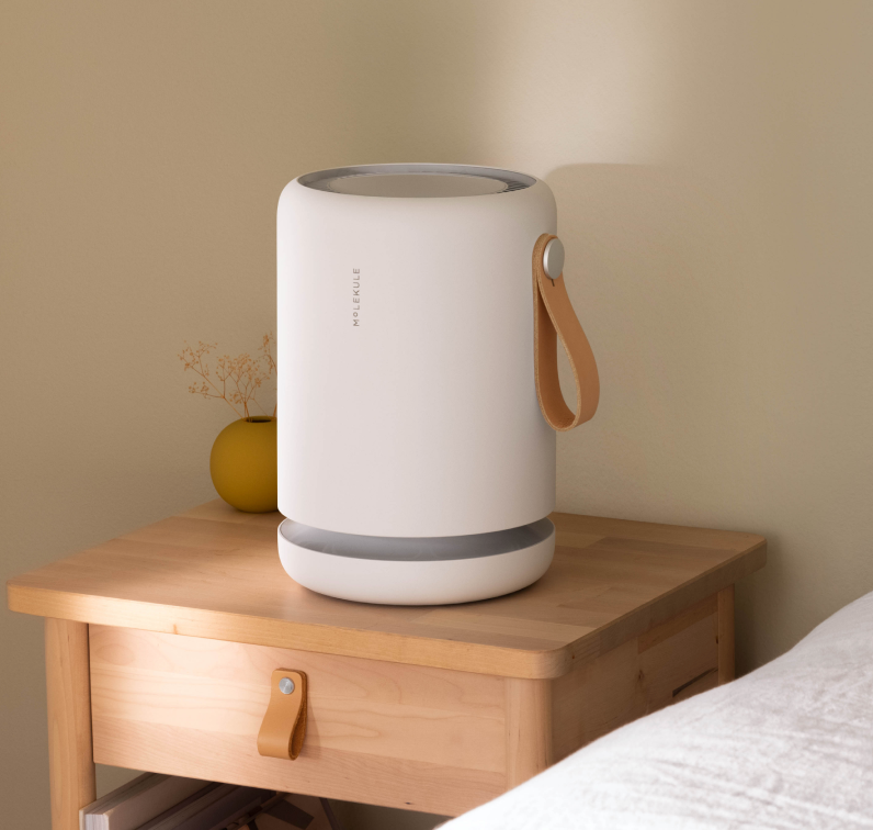 Air Purifier Mini