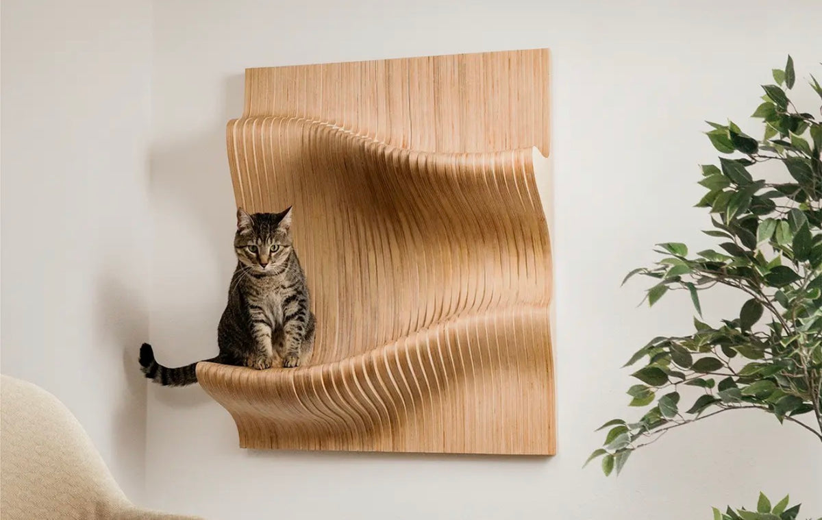 cat call hang