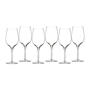 Elegance Wine Tasting Glass, Set of 6