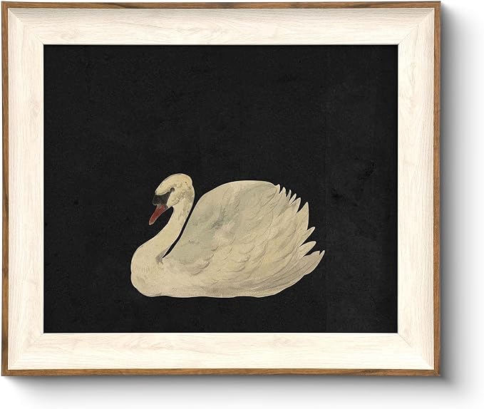 Art - Swan