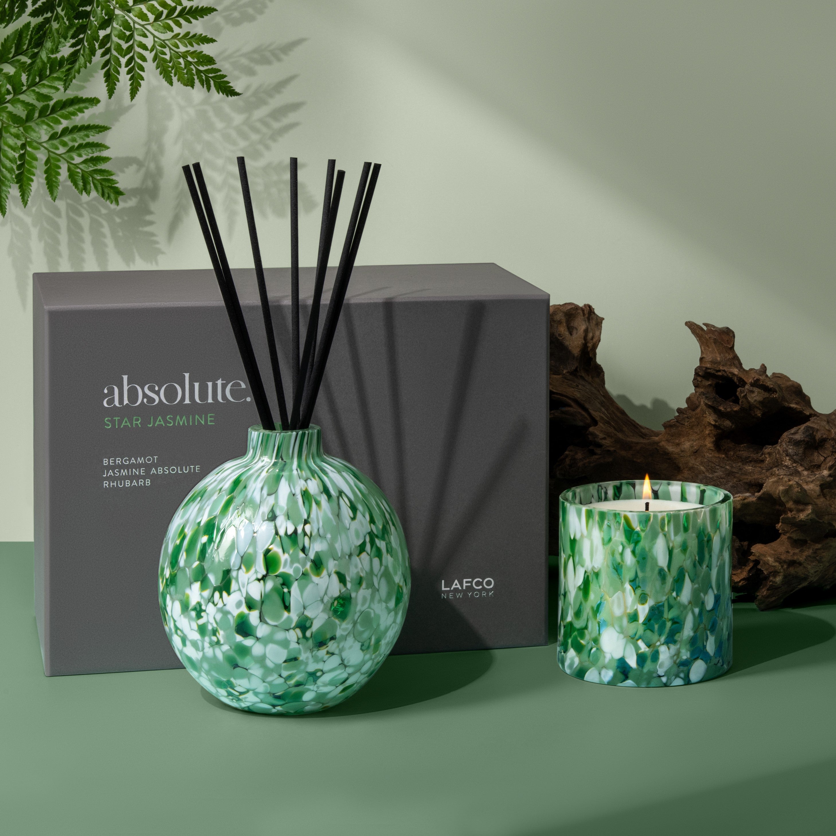 Star Jasmine Absolute Diffuser