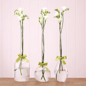 Sleek & Chic Vase Trio with Green Ribbon