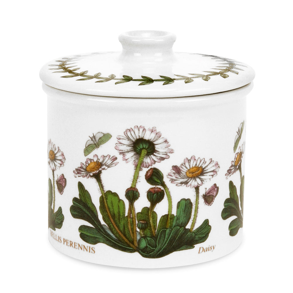 Front view of Botanic Garden covered sugar jar showcasing daisy motif and laurel leaf border on lid on white background