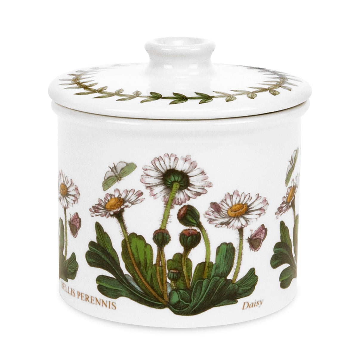Front view of Botanic Garden covered sugar jar showcasing daisy motif and laurel leaf border on lid on white background