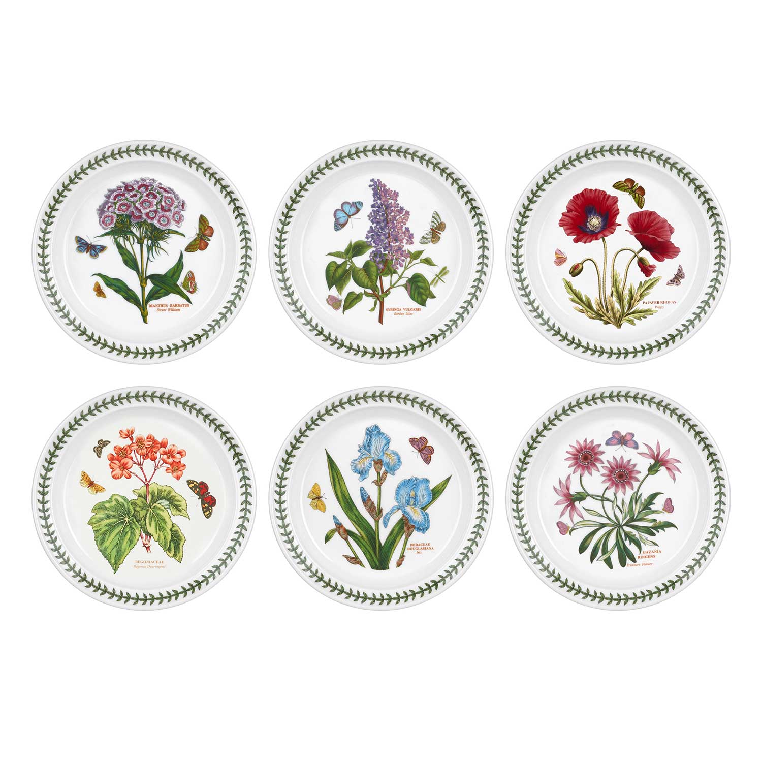 Botanic Garden Salad Plates, Set of 6