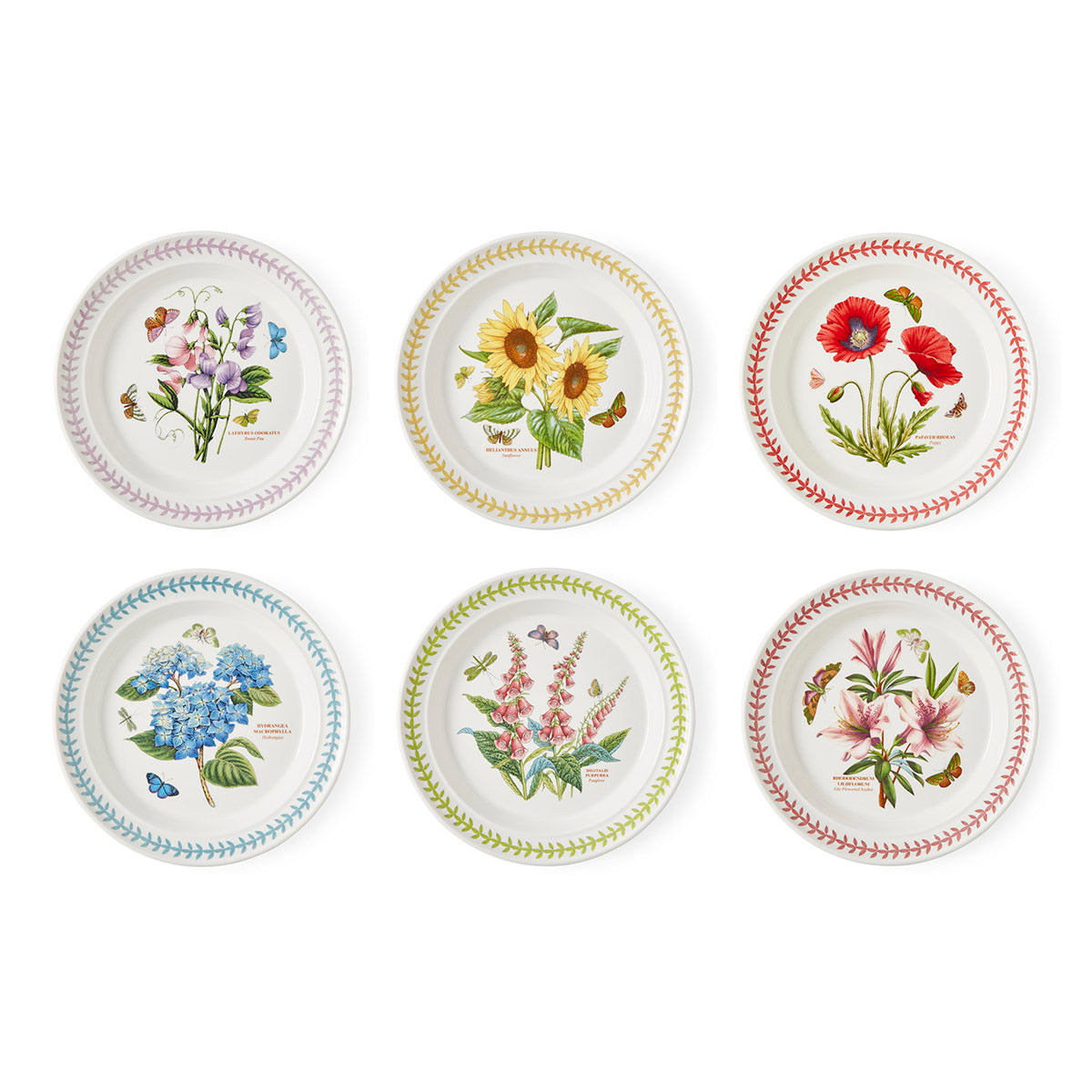 Botanic Garden Meadow Salad Plates, Set of 6