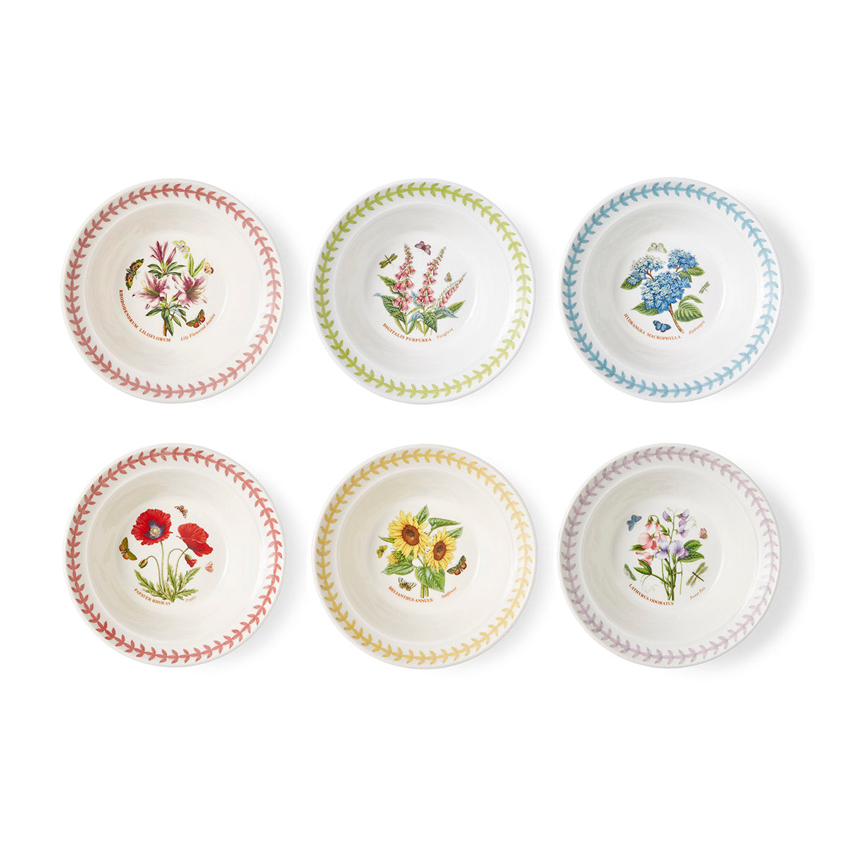 Botanic Garden Meadow Oatmeal Bowls, Set of 6
