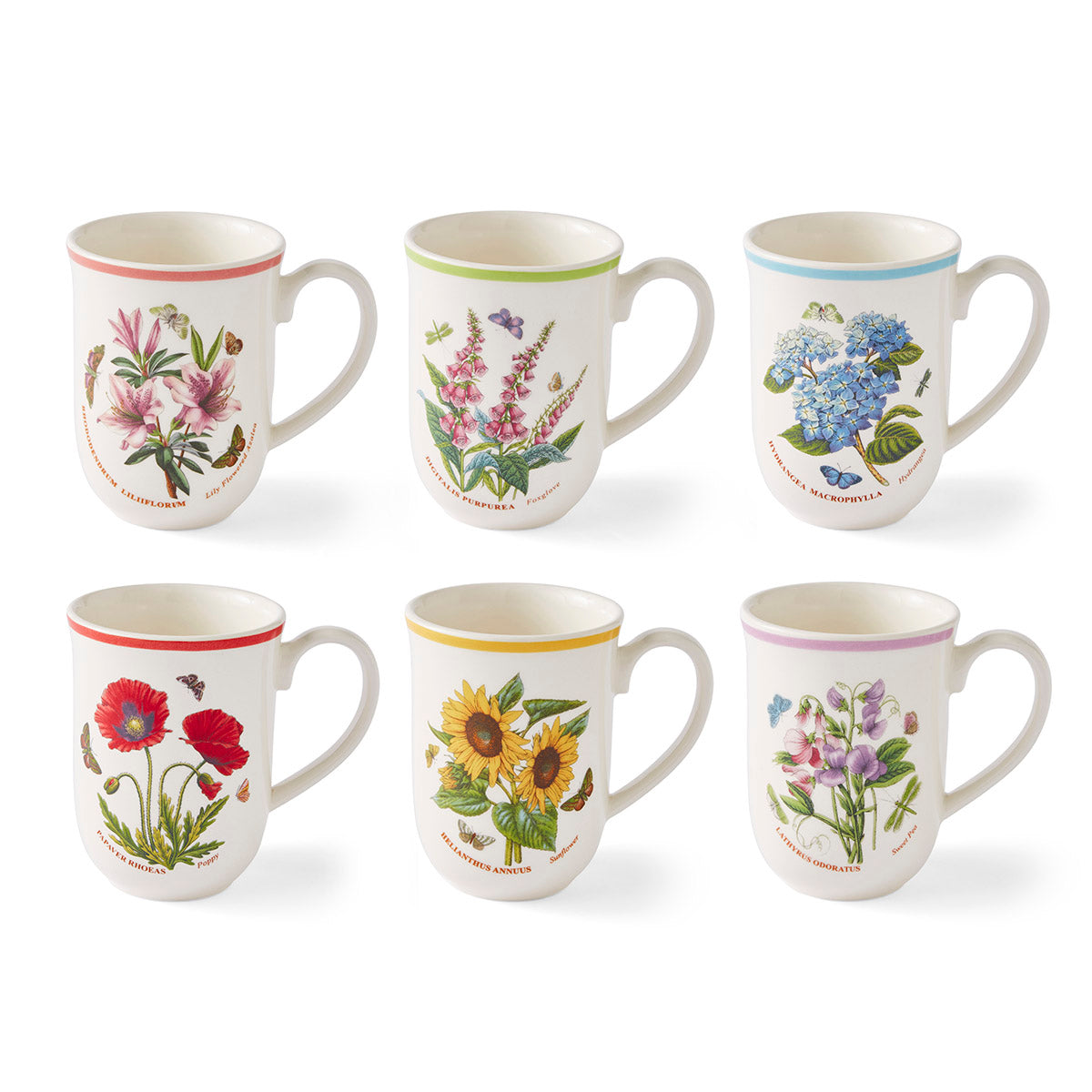 Botanic Garden Meadow Tulip Beakers, Set of 6