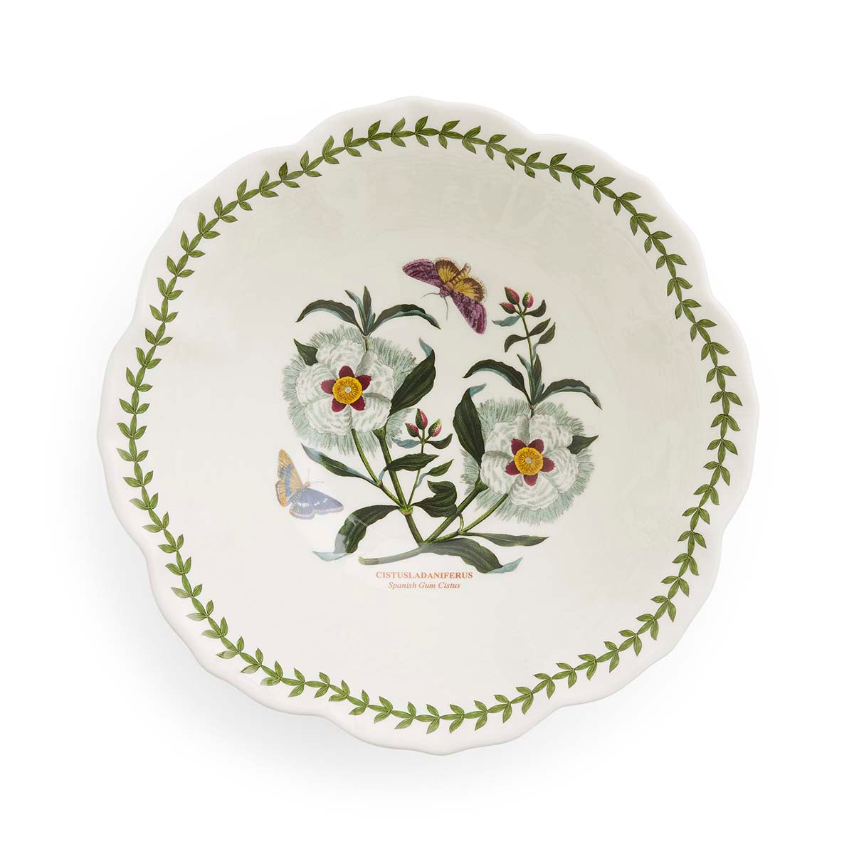 Top-down view of Botanic Garden 10.5-inch salad bowl showcasing scalloped lotus shape, green laurel leaf border, and central Spanish Gum Cistus botanical illustration on white background