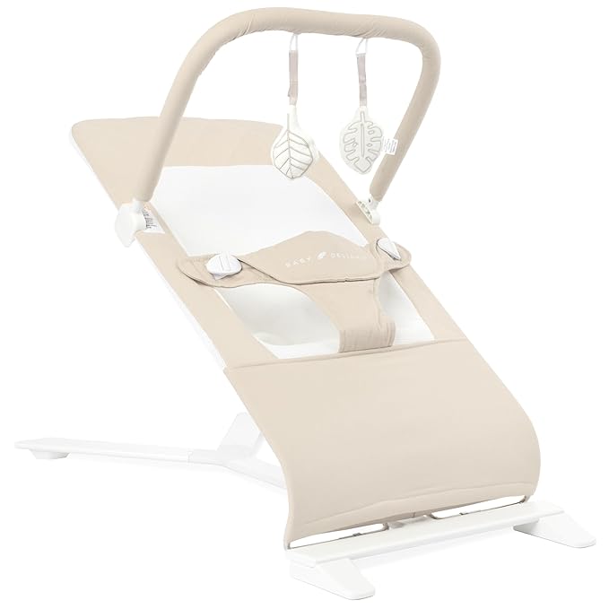 Baby Delight Alpine Deluxe Portable Bouncer