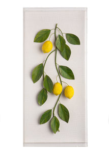 Large Fruit Study Lemons On Snow Linen