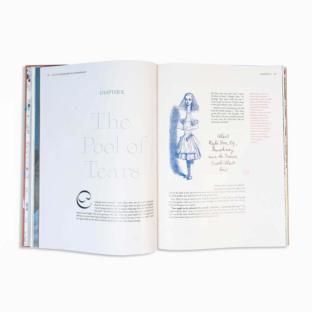 Alice in Wonderland Art Novel