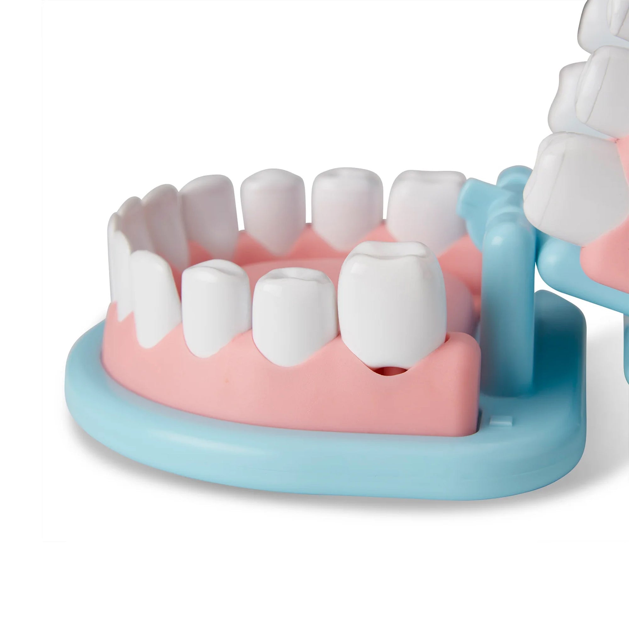 Super Smile Dentist Play Set