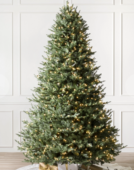 BH Balsam Fir Trees (8 foot, full tree, LED Lights)