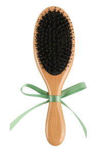 Hairbrush in Green Vase