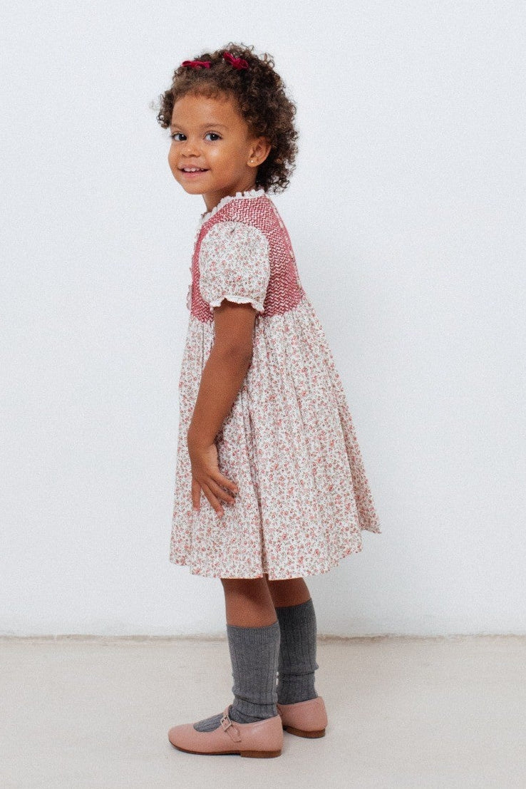Clotilde Dress in Red Floral