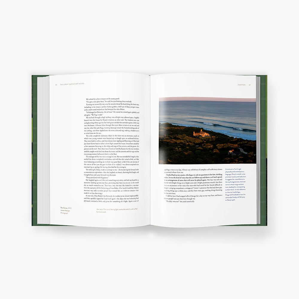 The Great Gatsby Art Novel