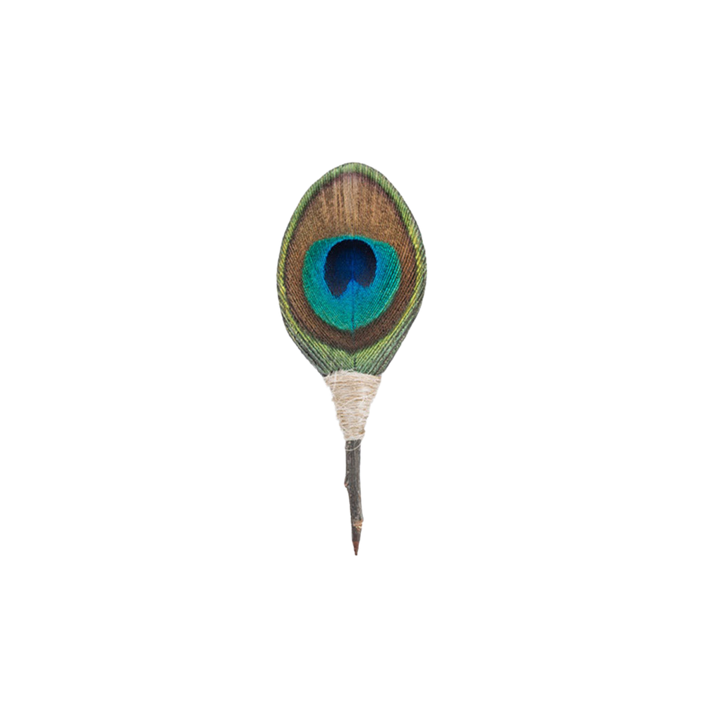 Jekyll Pin