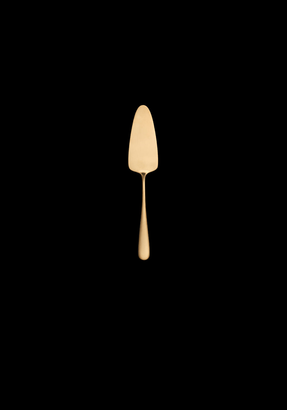 Cake Server