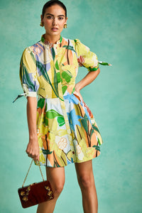 Brooklyn Mini Dress in Primrose Florals