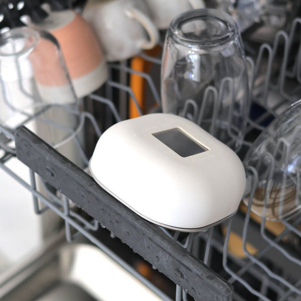 Stainless Steel Meal Set in Sage Green