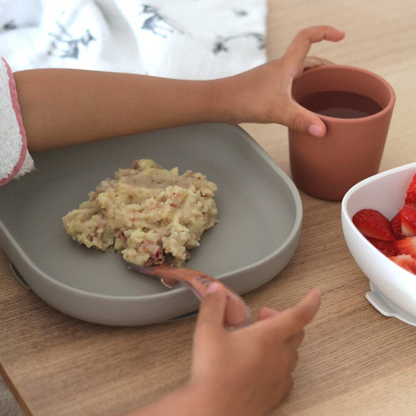 Silicone Meal Set in Terracotta, Set of 4