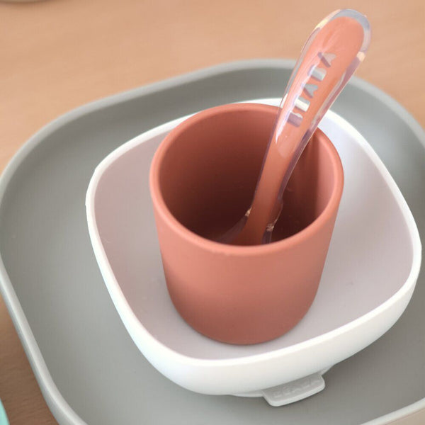 Silicone Meal Set in Terracotta, Set of 4