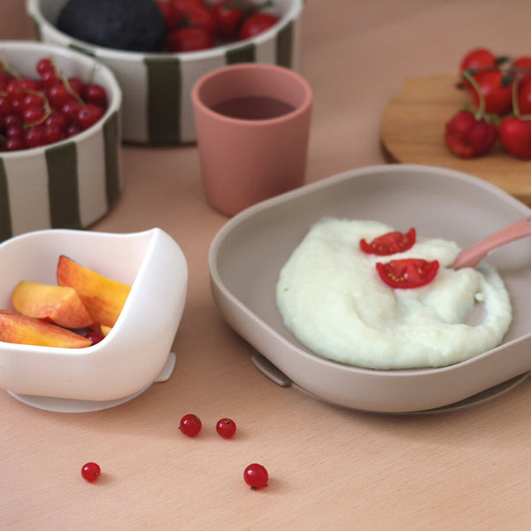 Silicone Meal Set in Terracotta, Set of 4