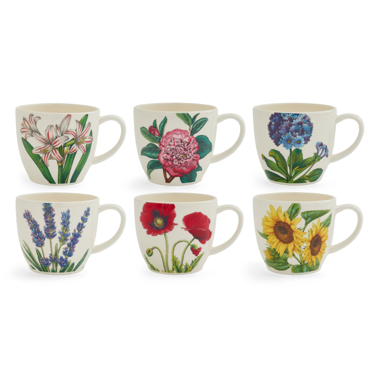 Bloom Garden Latte Mugs, Set of 6