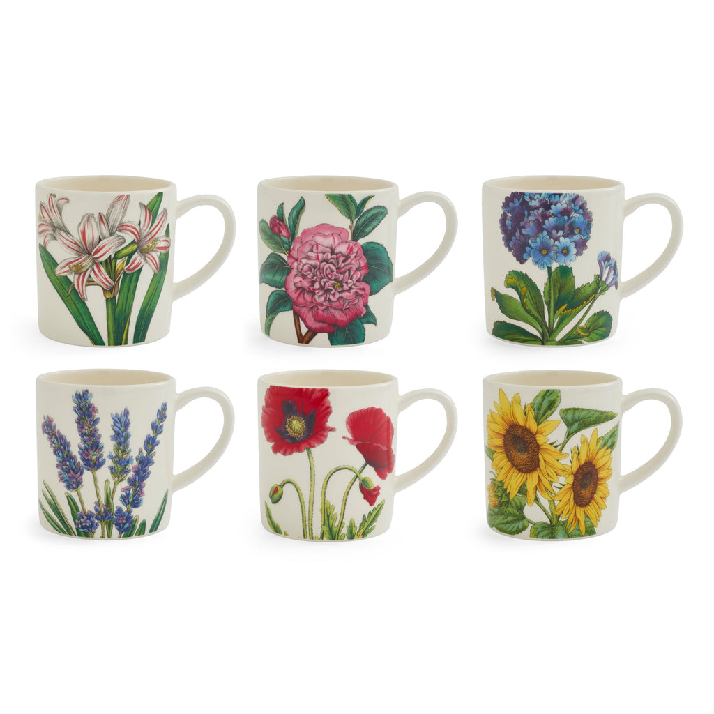 Bloom Garden Coffee Mugs, Set of 6