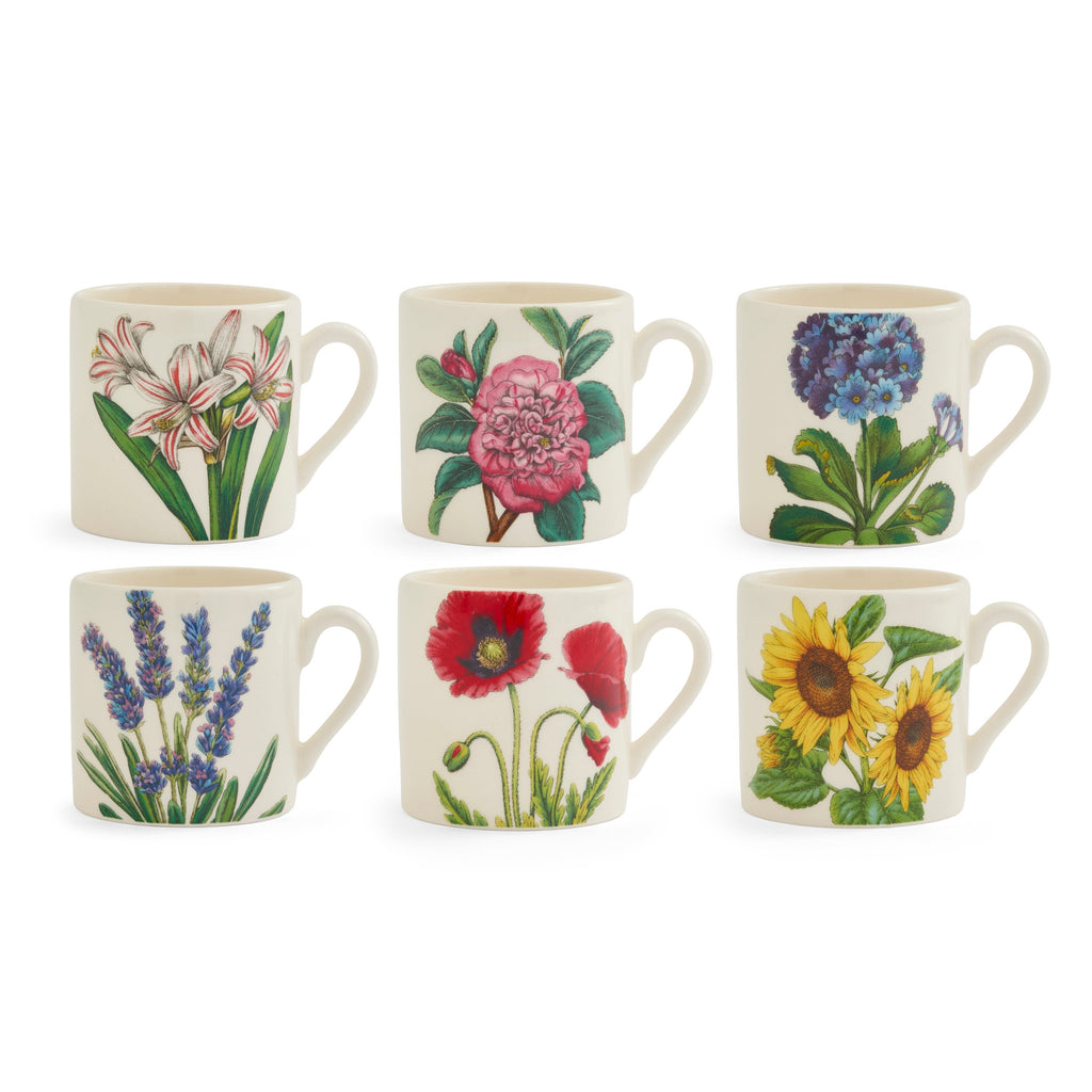 Bloom Garden Espresso Cups, Set of 6