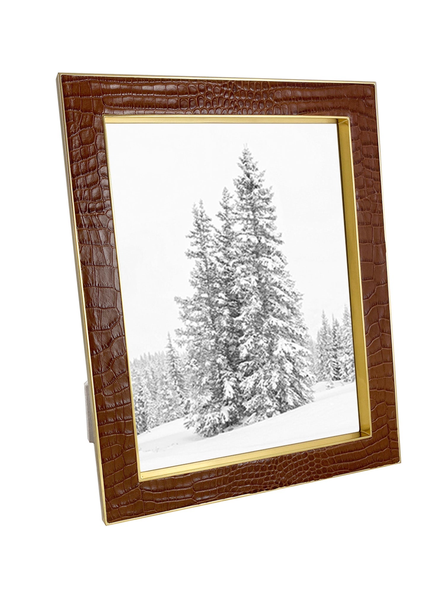 Chocolate Croc Frame 8X10