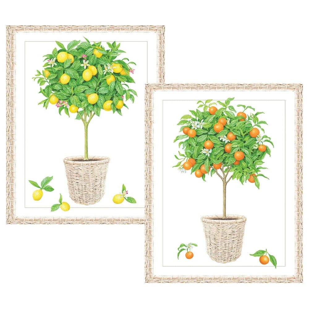 Citrus Topiaries Assorted Embossed Boxed Note Cards, Set of 10