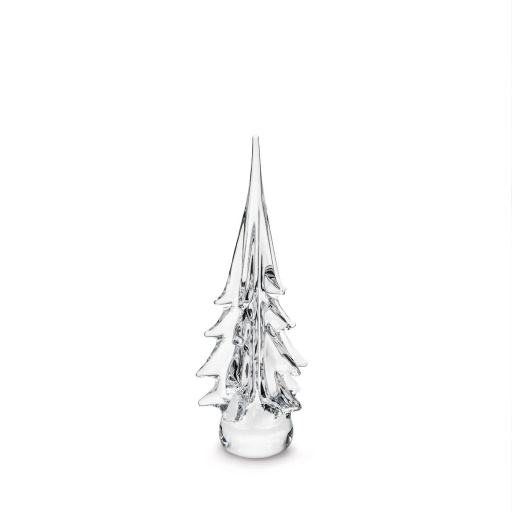 Spruce Evergreen