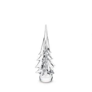 Spruce Evergreen