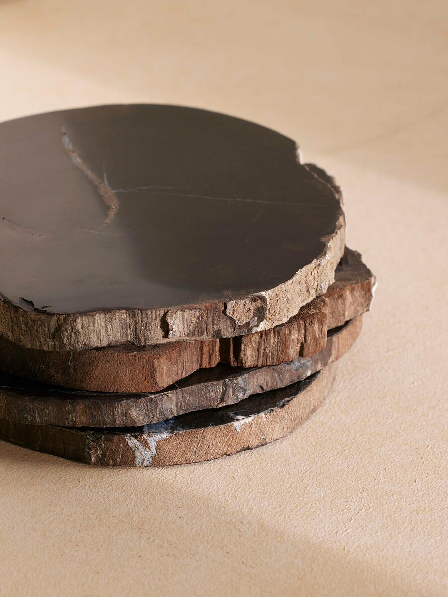 Balfern Petrified Wood Coasters, Set of Four