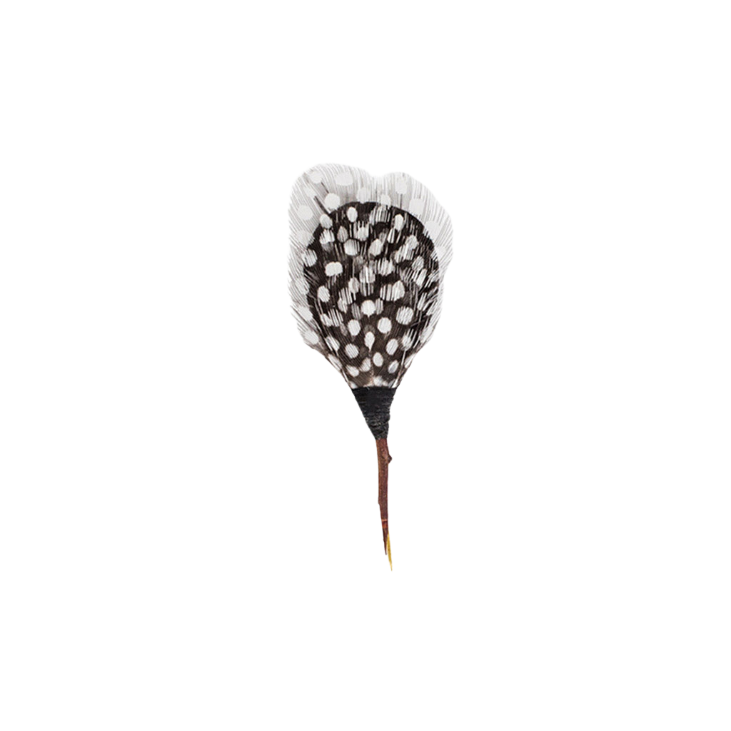 Front view of Seattle feather lapel pin showcasing spotted polka-dot feather and wrapped base on black background