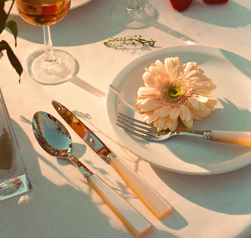 5 Piece Cutlery Set