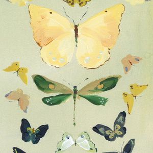 inslee watercolor butterfly print 