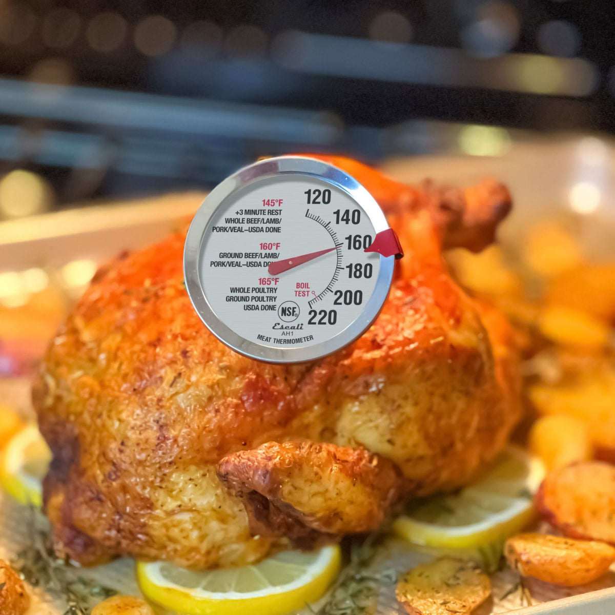 Oven Safe Meat Thermometer in Silver