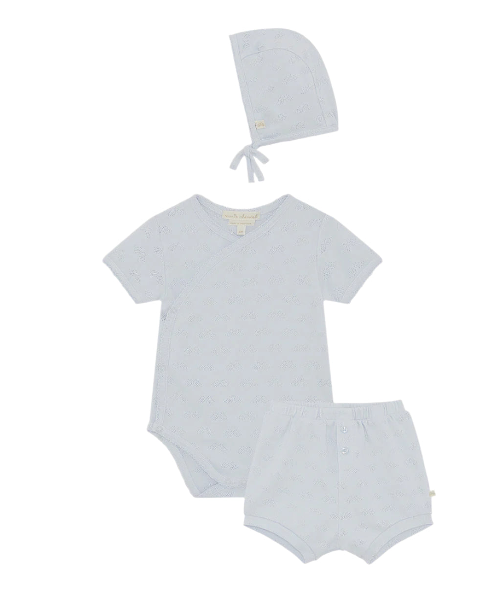 Andi Angel Wing Pointelle Gift Set