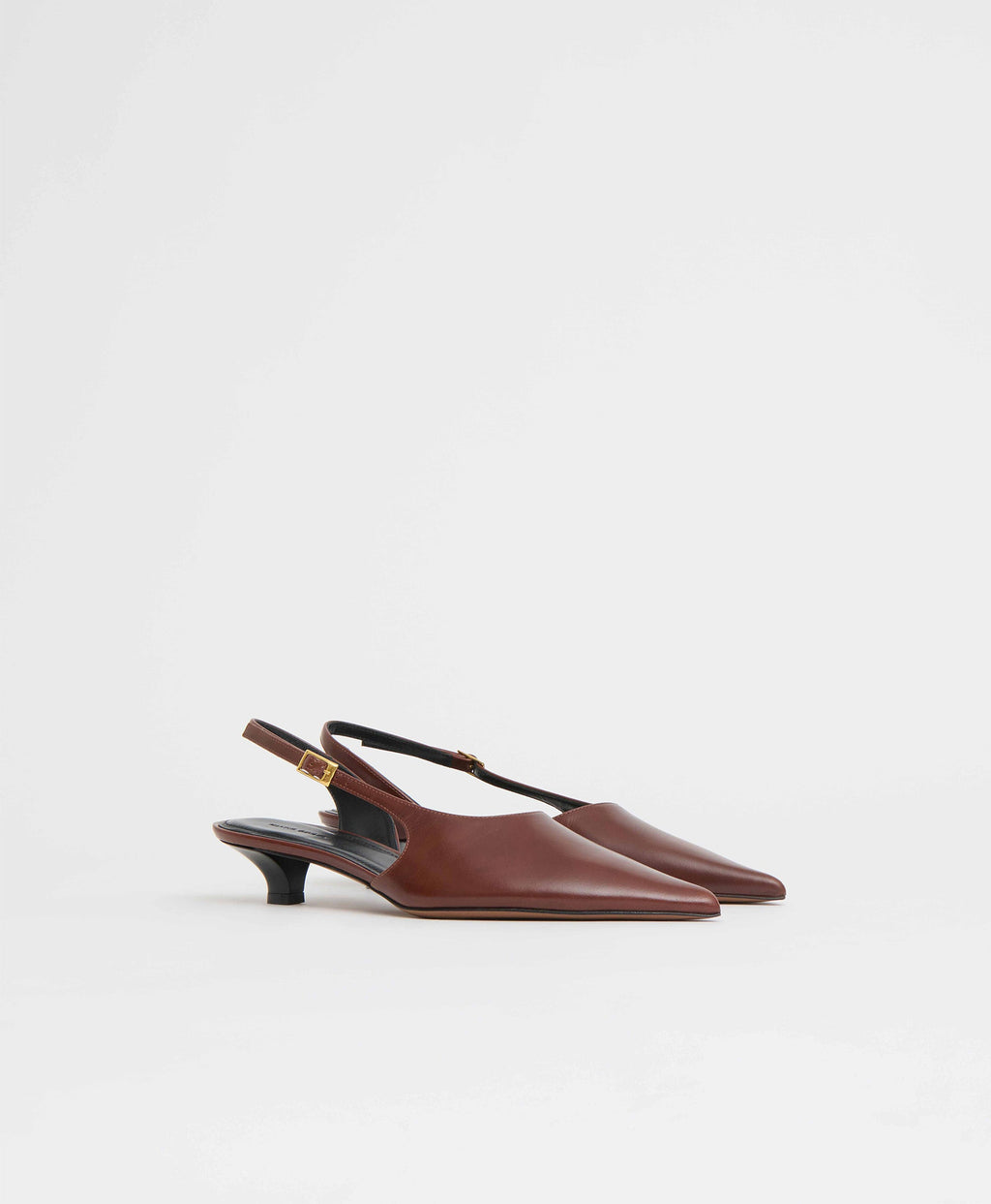 Anna Slingback - Sequoia