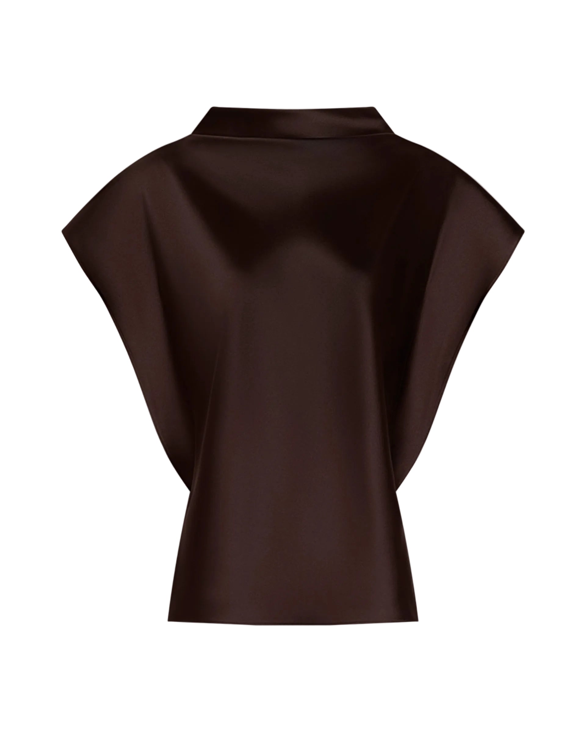 Adrien Top in Dark Fig