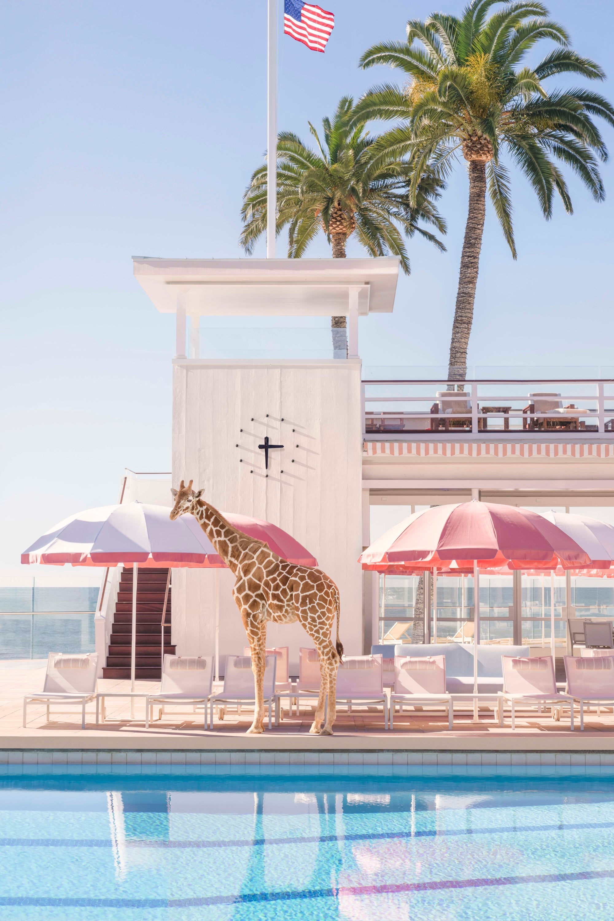 Afternoon Stretch, Coral Casino