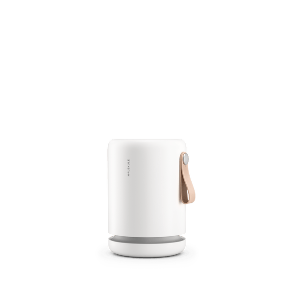 Air Purifier Mini+