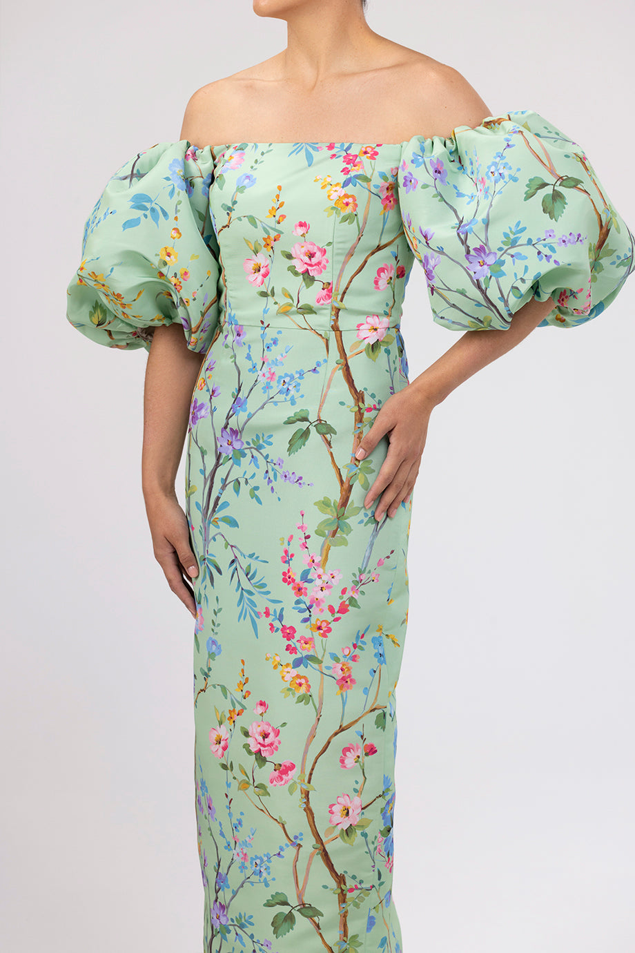 Sylvia Garden Reverie Silk Faille Midi Dress in Celadon Floral